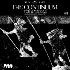 The Continuum