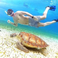 Best Cozumel Snorkeling Tour Palancar Columbia And Cielo Reefs Tours Review