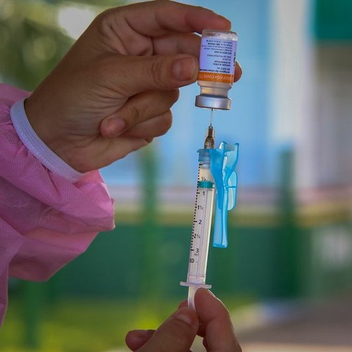 TCE/SC verifica ações de Governo e municípios na vacinação contra a Covid-19