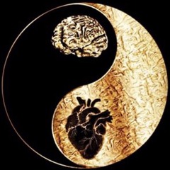 The Eagle Has Landed