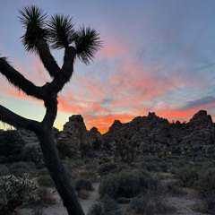 06 Feels Like May 2024