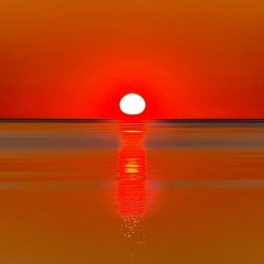 0 Motivation_From_Identity_Collapse_ to_Dissecting_the_Crisis_of_Pavlina