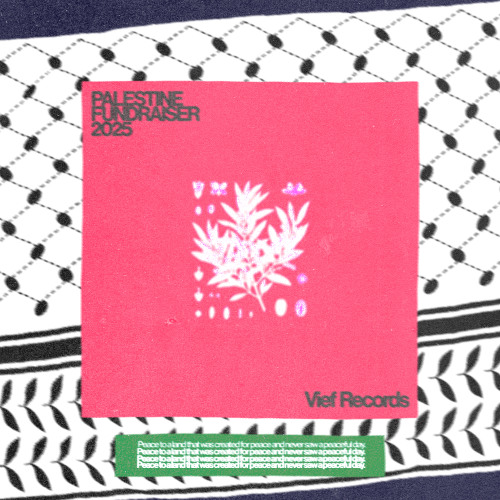 PREMIERE: rougail space program - Serles [Vief Records]