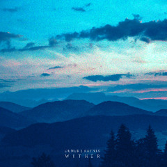 i never wanted to let you down