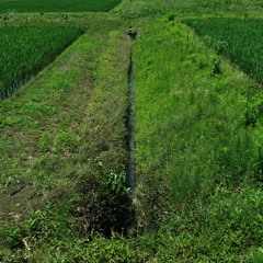 Log_20230607（demo）