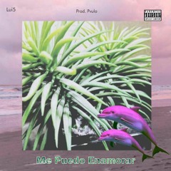Me Puedo Enamorar (Prod. Pvulo)