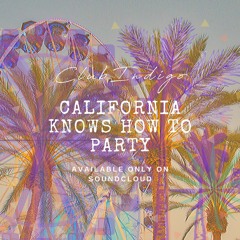 California Knows How To Party (Dr. Dre & 2 Pac - California Love / West Coast Poplock Remix)