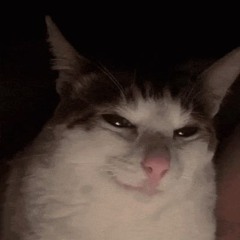 DJ Coone - Tranceball 2008 (HIGH QUALITY)