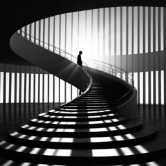 Andy Meyer - The Solution