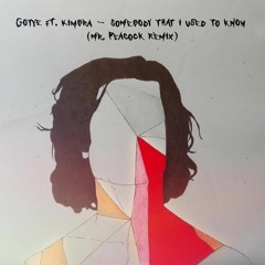 Gotye Ft. Kimbra - Somebody That I Used To Know (MR. PEACOCK Remix)
