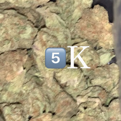 5k diss