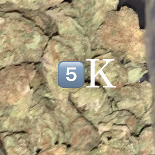 5k diss