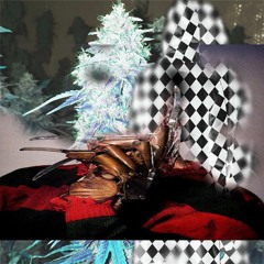 313 >>> 22022022 prod Ratpress