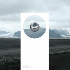 Pablo Bolivar feat. Ben Preisinger - Elevator (Fiordland Remix)