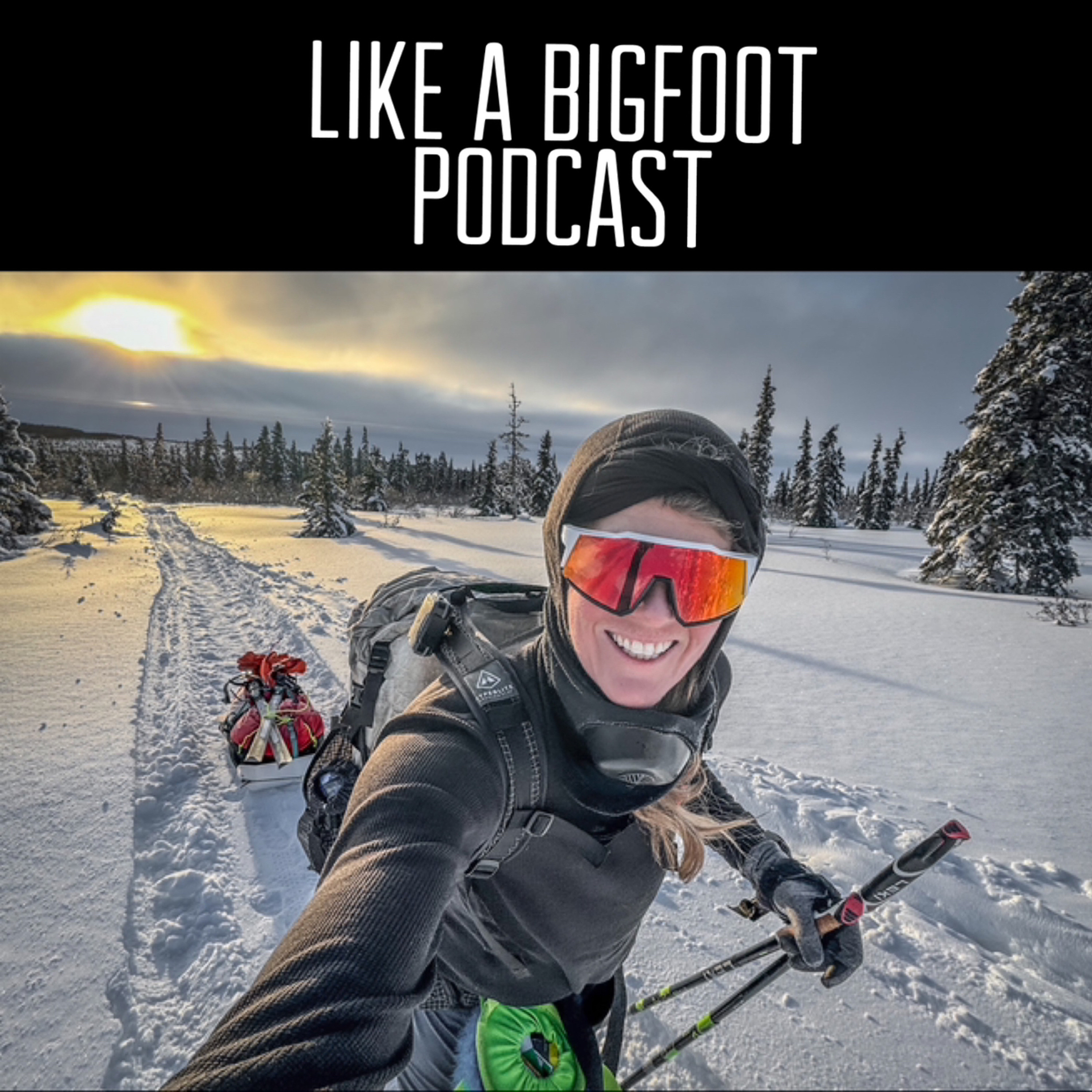 #376: Sunny Stroeer 2 -- The First Woman to Ski the Iditarod, Story of the Race episode artwork