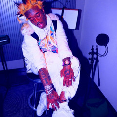 Lil Uzi Vert - Shar Pei