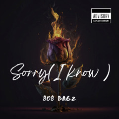 808 Bagz - Sorry(phone version)