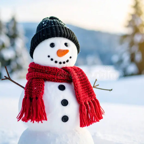 Snow s h i n e 2025 (DnB Mix)