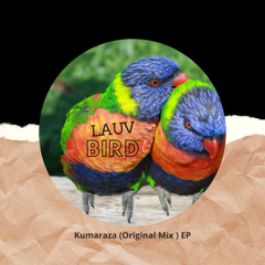 Lauv Bird - Original Mix