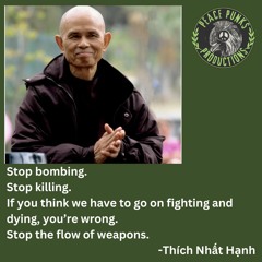 TNH House Remix - Stop Bombing, Stop Killing. Prod. By Aáron Heard- 11:4:23, 12.29 PM