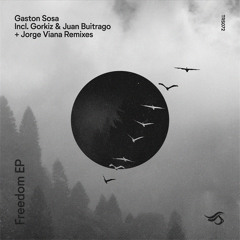 PREMIERE: Gaston Sosa - Freedom (Juan Buitrago & Gorkiz Remix) [Transensations]