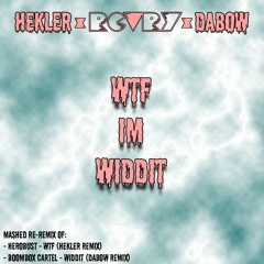 WTF I'm Widdit (Mashup-Remix)