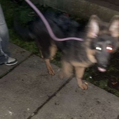 GEEKIN’ (prod. byttt)