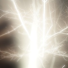 Denis Shembel - August