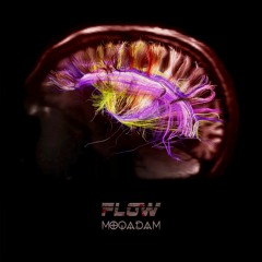 Flow