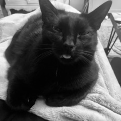 Little wild vinyl only jam session @ DA after hour with an abrupt end :)