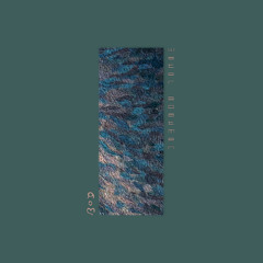 [MANTX004] Aom - Water Boatmen