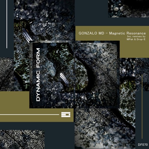 CF Premiere: Gonzalo MD - Transversal Object [Dynamic Form]