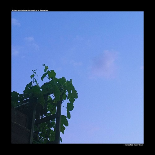 KYPER - 戻る (ember. remix) [FREE DL]