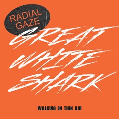 PREMIERE - Great White Shark - Walking On Thin Air (Radial Gaze Remix) (M & O Music)