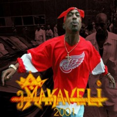2PAC Young Black Male remix