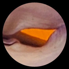 Charlie - Spacer Woman (Vertex Loop Edit)