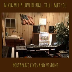 NEVER MET A LOVE BEFORE…till I met you