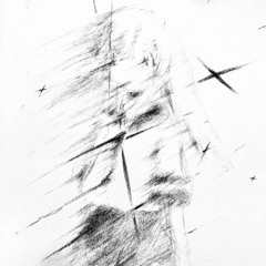 birds call out your name (clvr)