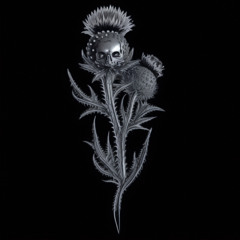 Mino (prod. loverboybeats x vtrxty)