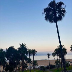 California Dreamin'