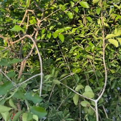 nature knows beauty takes time