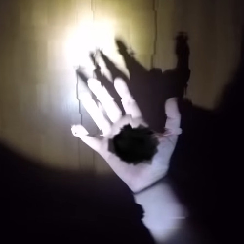 biichftt - now or later (prod lily forest)