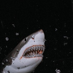 LANES -(prod. Big Jerm)