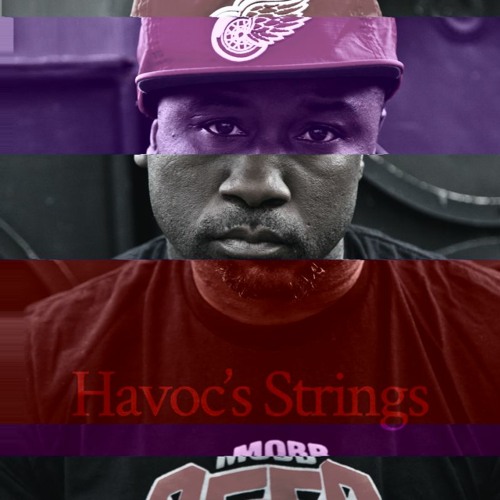 Havoc's Strings (V̷I̷N̷S̷K̷Y̷ Remix)