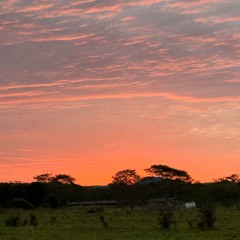 ATMOSPHERE (JUST A DREAM)