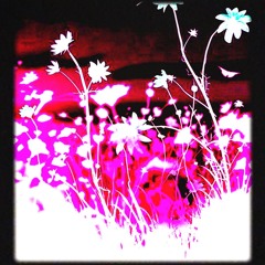 If I Die Bury Me Outside In The Garden | $uicideboy$ type beat 2024