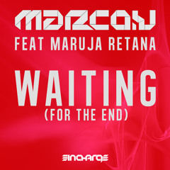 Waiting (For The End) (Original Mix)