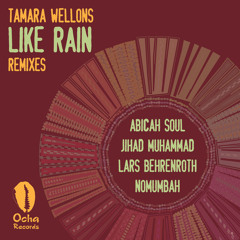 Like Rain (Lars Behrenroth Deeper Shades Dub)