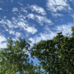 Just the Wind & The Moon