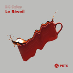 PREMIERE - DC Salas - Le Réveil (Pets Recordings)